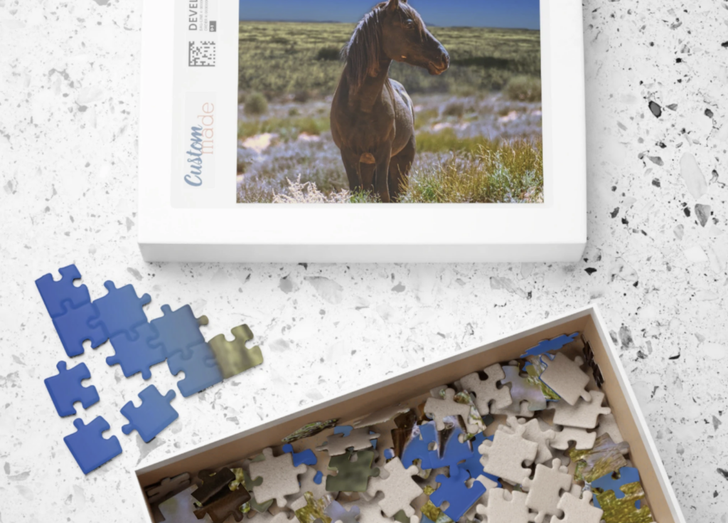 Wild Horse Puzzle - Equine Art Photo, Animal Puzzle - Arizona Landscape